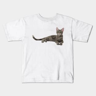 Cute Gray Tabby Kitten Kids T-Shirt